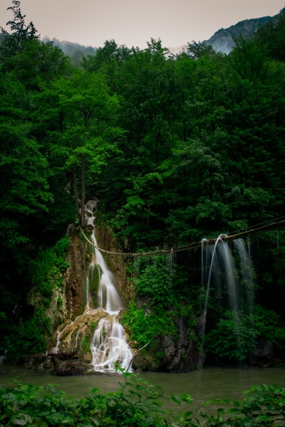 水落在森林里